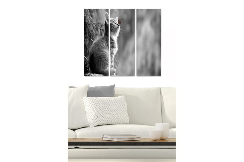 Tavla Animal 3-Pack Flerfärgad 20X50 - 20x50 cm - Inredning - Tavlor & posters - Canvastavla