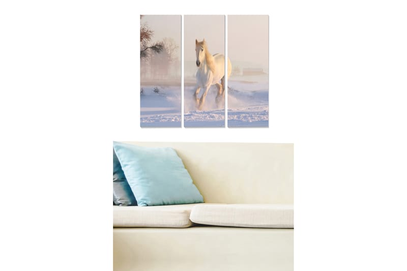 Tavla Animal 3-Pack Flerfärgad 20X50 - 20x50 cm - Inredning - Tavlor & posters - Canvastavla