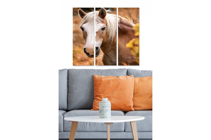 Tavla Animal 3-Pack Flerfärgad 20X50 - 20x50 cm - Inredning - Tavlor & posters - Canvastavla