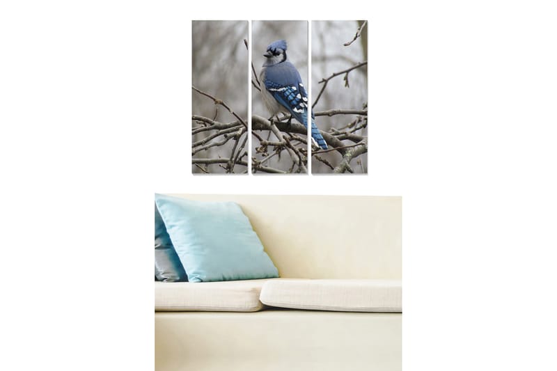 Tavla Animal 3-Pack Flerfärgad 20X50 - 20x50 cm - Inredning - Tavlor & posters - Canvastavla