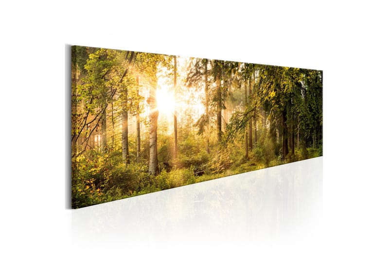 Tavla Autumn Sigh 150x50 - Artgeist sp. z o. o. - Inredning - Tavlor & posters - Canvastavla