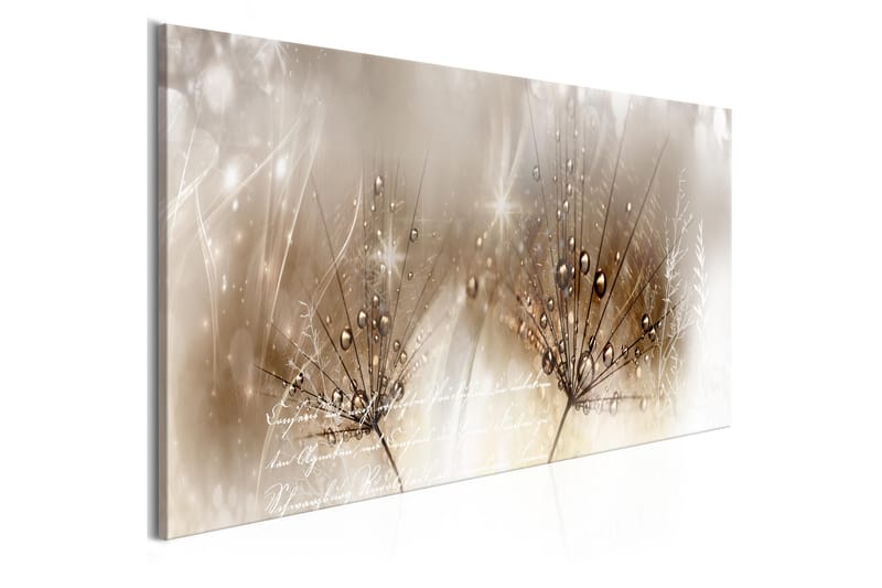 Tavla Drops Of Dew 1 Part Brown Narrow 150x50 - Artgeist sp. z o. o. - Inredning - Tavlor & posters - Canvastavla