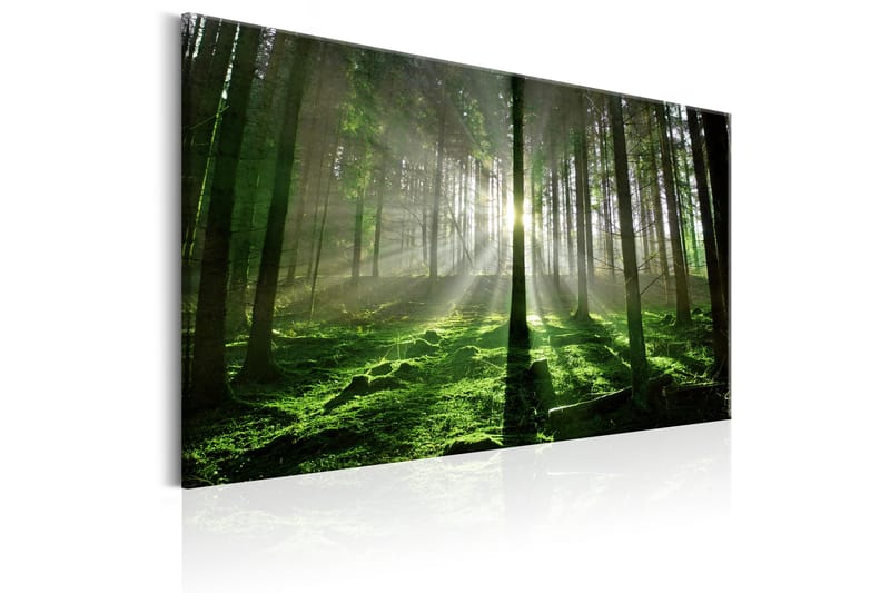 Tavla Emerald Forest II 120x80 - Artgeist sp. z o. o. - Inredning - Tavlor & posters - Canvastavla