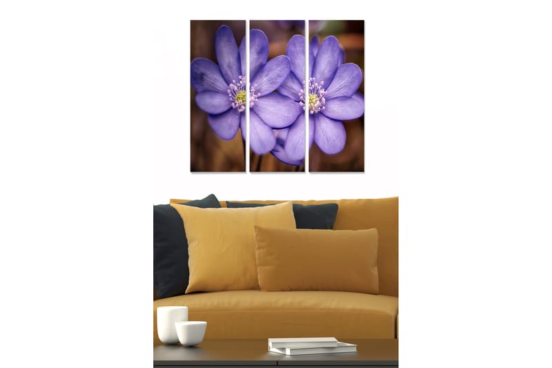 Tavla Floral 3-Pack Flerfärgad 20X50 Cm - 20x50 cm - Inredning - Tavlor & posters - Canvastavla