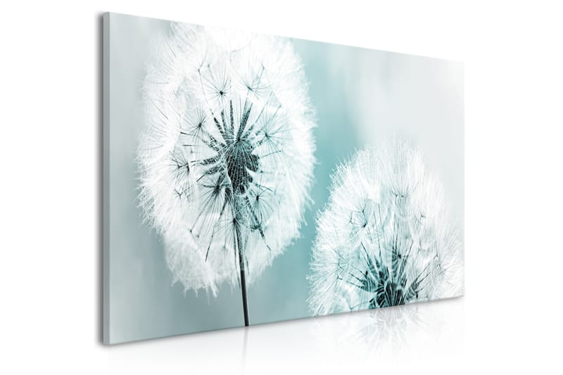 Tavla Fluffy Dandelions (1 Part) Blue Wide 100x45 - Artgeist sp. z o. o. - Inredning - Tavlor & posters - Canvastavla