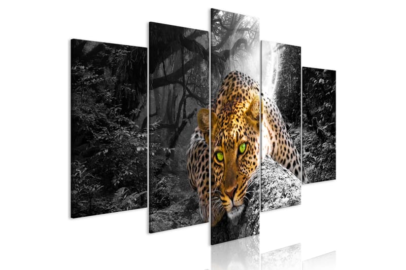 Tavla Leopard Lying 5 Parts Wide Grey 100x50 - Artgeist sp. z o. o. - Canvastavla