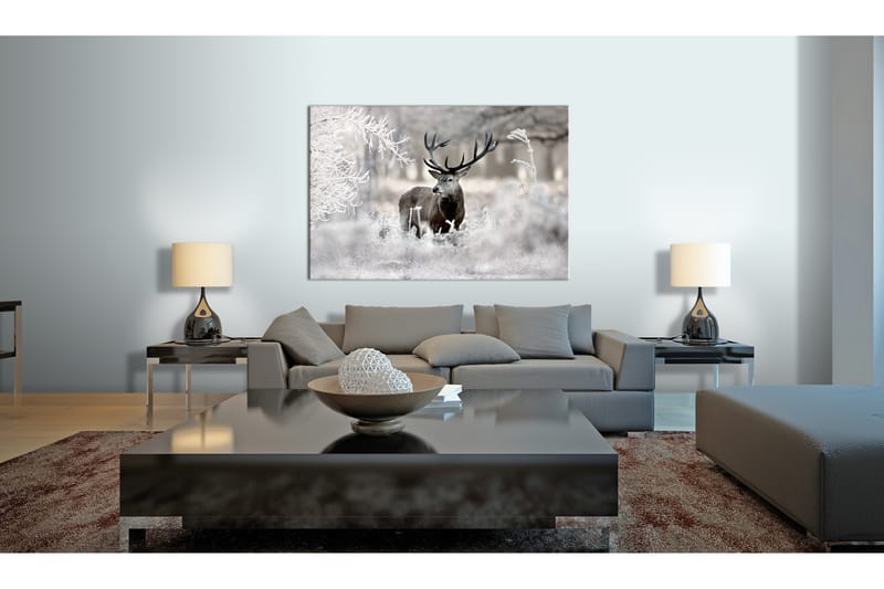 Tavla Lonely Deer 90x60 - Artgeist sp. z o. o. - Inredning - Tavlor & posters - Canvastavla