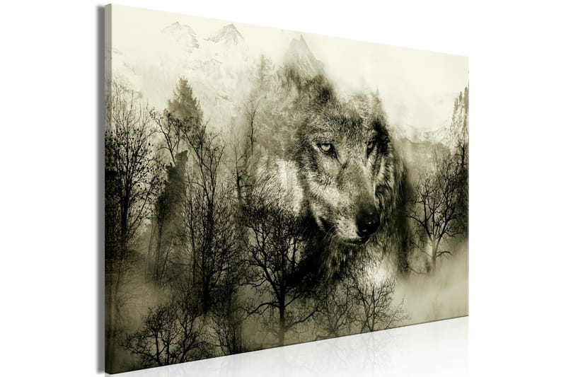 Tavla Mountain Predator (1 Part) Wide Beige 120x80 - Artgeist sp. z o. o. - Inredning - Tavlor & posters - Canvastavla