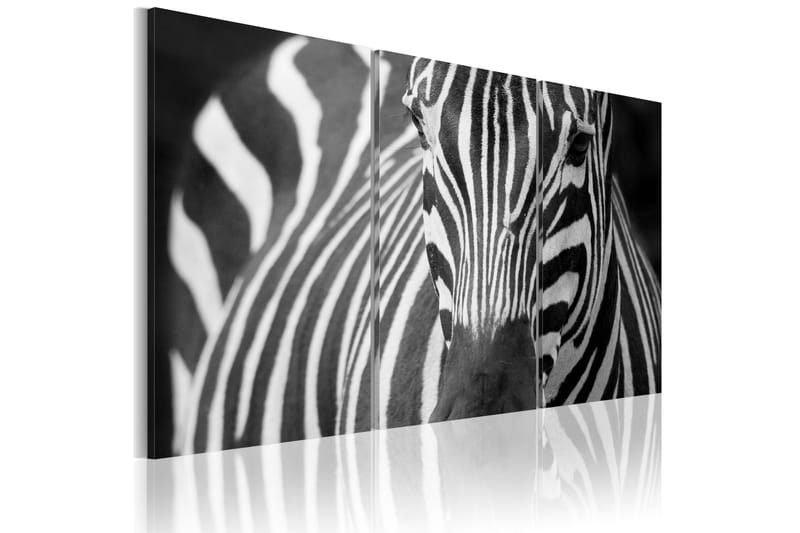 Tavla Mrs Zebra 90x60 - Artgeist sp. z o. o. - Inredning - Tavlor & posters - Canvastavla