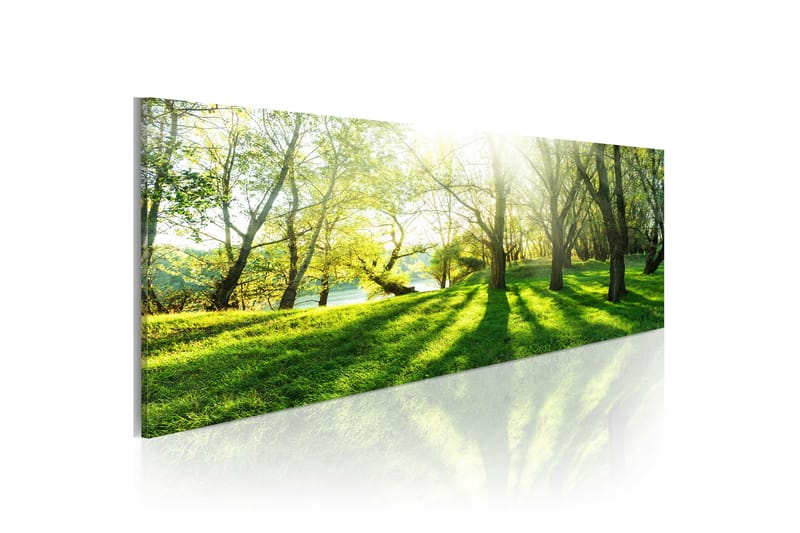 Tavla Rays Of Sunshine 135x45 - Artgeist sp. z o. o. - Inredning - Tavlor & posters - Canvastavla