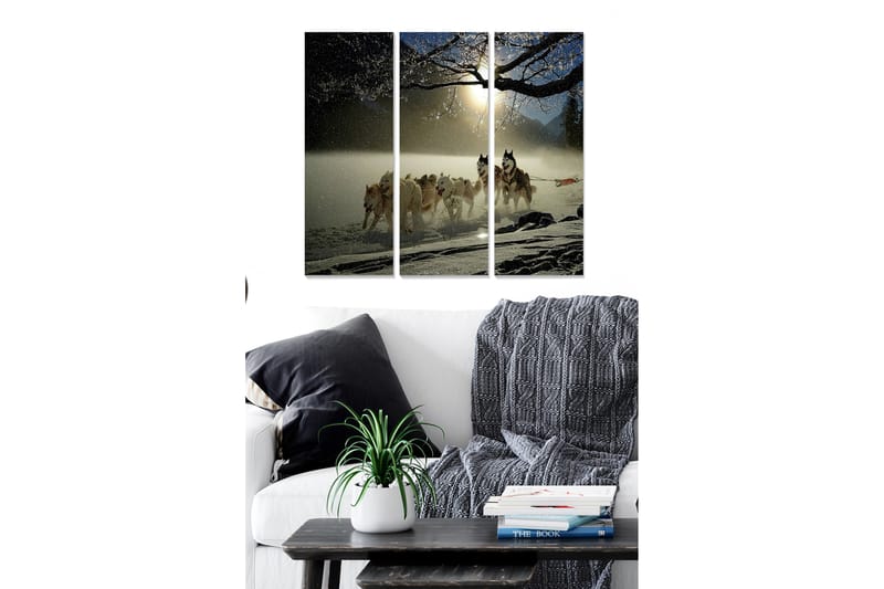 Tavla Scenic 3-Pack Flerfärgad 20X50 - 20x50 cm - Inredning - Tavlor & posters - Canvastavla