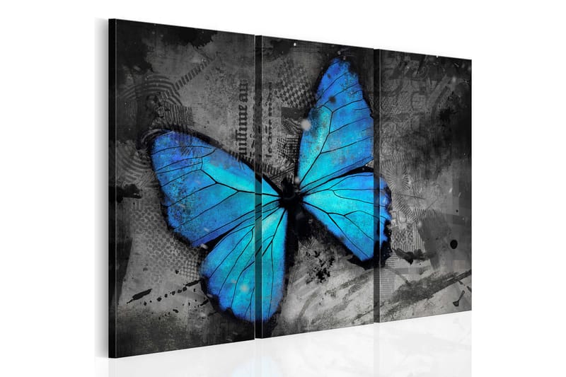 Tavla The study of butterfly triptych 90x60 - Artgeist sp. z o. o. - Inredning - Tavlor & posters - Canvastavla