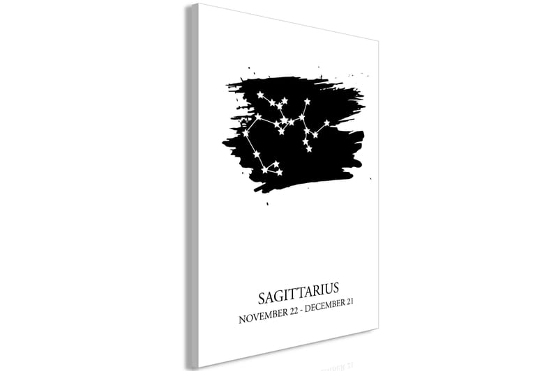 Tavla Zodiac Signs: Sagittarius (1 Part) Vertical 40x60 - Artgeist sp. z o. o. - Inredning - Tavlor & posters - Canvastavla