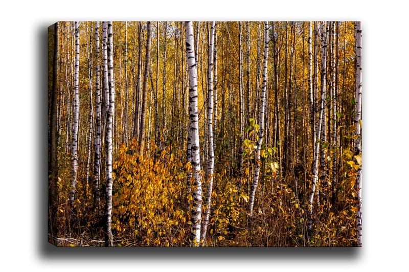 Väggdekor Canvas Målning - Inredning - Tavlor & posters - Canvastavla