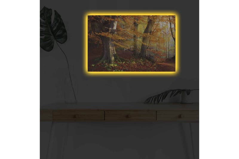 Väggdekor LED-belysning Canvas Målning - Inredning - Tavlor & posters - Canvastavla