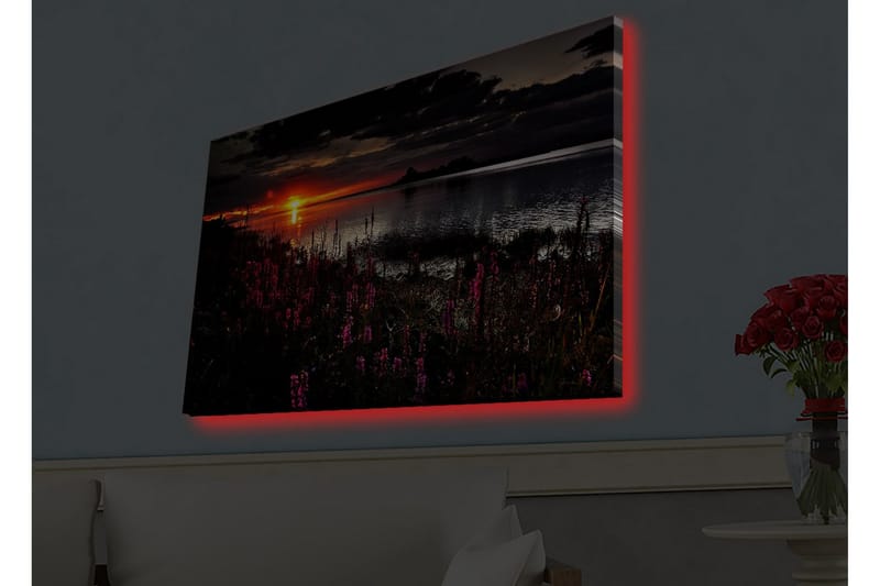 Väggdekor LED-belysning Canvas Målning - Inredning - Tavlor & posters - Canvastavla