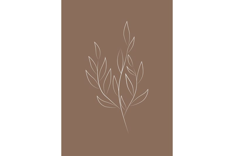 Poster Drawed leaf 50x70 cm - Brun - Inredning - Tavlor & posters - Posters & prints