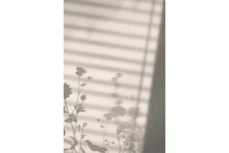 Poster Flower Shadow 21x30 cm - Vit - Inredning - Tavlor & posters - Posters & prints