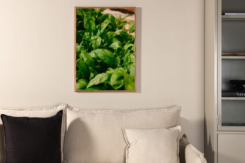 Poster Green leaf 30x40 cm - Grön - Inredning - Tavlor & posters - Posters & prints