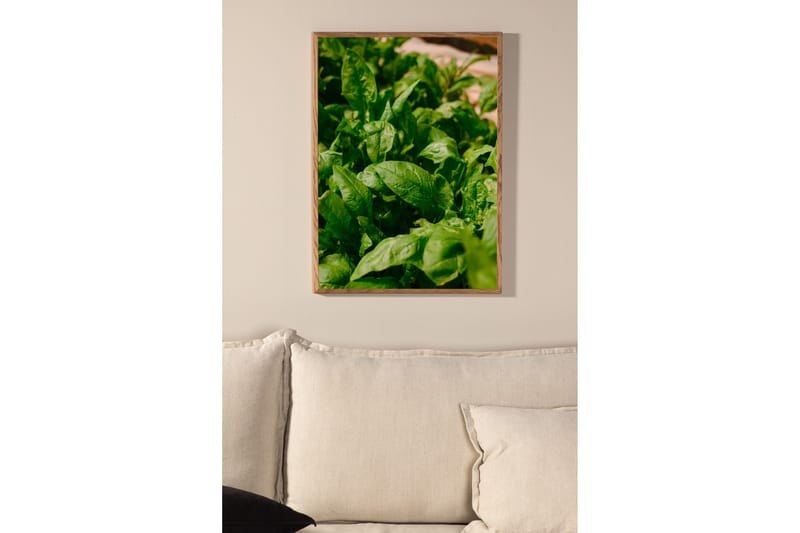 Poster Green leaf 30x40 cm - Grön - Inredning - Tavlor & posters - Posters & prints