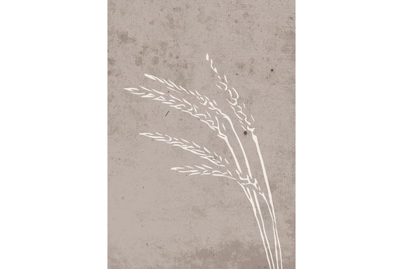 Poster Seeds 21x30 cm - Beige - Inredning - Tavlor & posters - Posters & prints