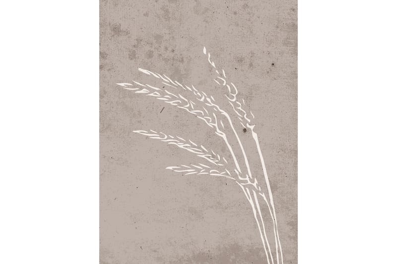 Poster Seeds 30x40 cm - Beige - Inredning - Tavlor & posters - Posters & prints