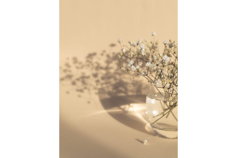 Poster White Flowers 50x70 cm - Beige - Inredning - Tavlor & posters - Posters & prints