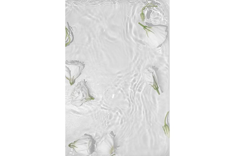 Poster White Roses 21x30 cm - Vit - Inredning - Tavlor & posters - Posters & prints