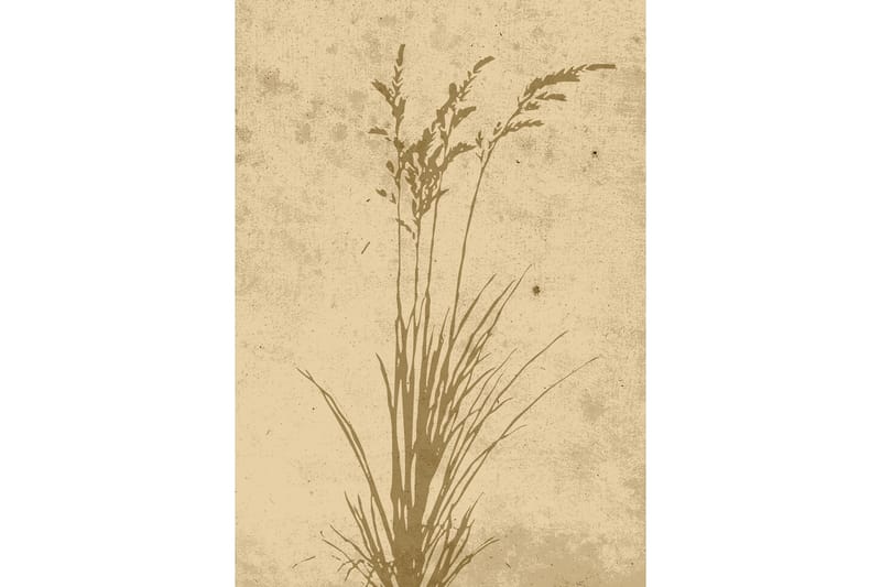 Poster Plant art 21x30 cm - Beige - Inredning - Tavlor & posters - Posters & prints