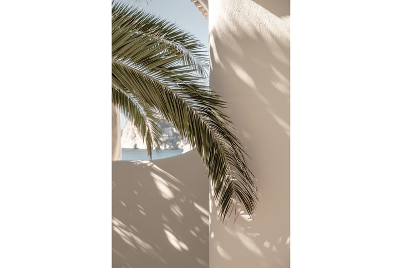 Poster Palmleaf 70x100 cm - Beige - Inredning - Tavlor & posters - Posters & prints