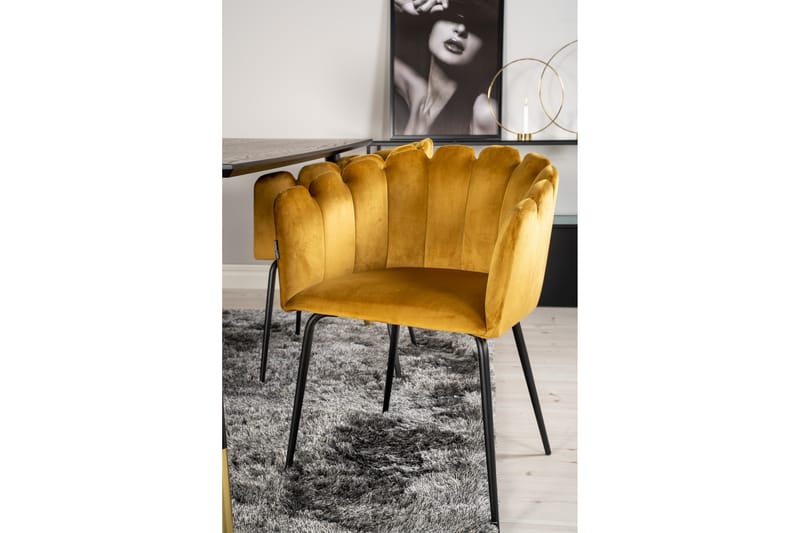 Matgrupp Kenton 180 cm med 4 Limhamn Matstolar Gul - Furniture Fashion - Matgrupp