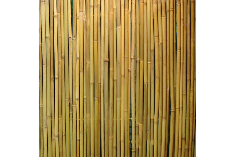 Bambuaita In Garden - Balkongskydd