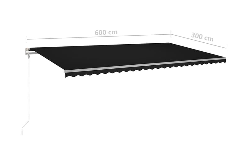 Automatisk markis med vindsensor & LED 600x300 cm antracit - Antracit - Utemöbler & utemiljö - Solskydd - Markiser